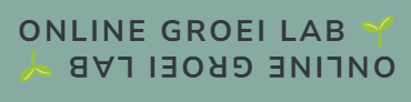 Van Idee Naar Online Inkomen | Online Geld Verdienen | Online Groei Lab